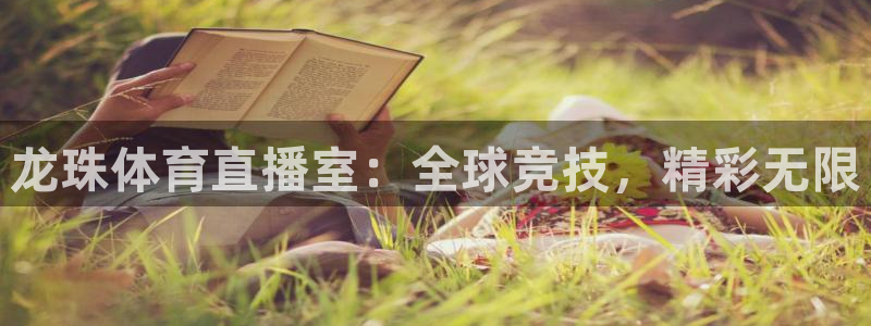 火凤体育免费直播入口