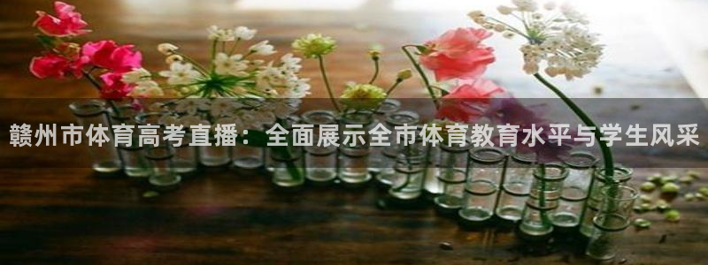 火凤体育直播高清入口