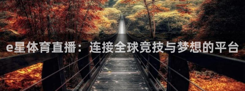 火凤直播体育：e星体育直播：连接全球竞技与梦想的平台