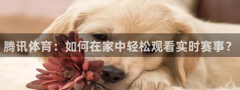 火凤体育免费直播入口：腾讯体育：如何在家中轻松观看实时赛事？