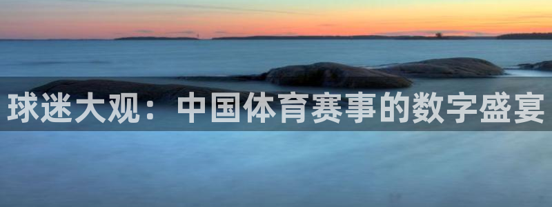 火凤足球直播在线观看：球迷大观：中国体育赛事的数字盛宴