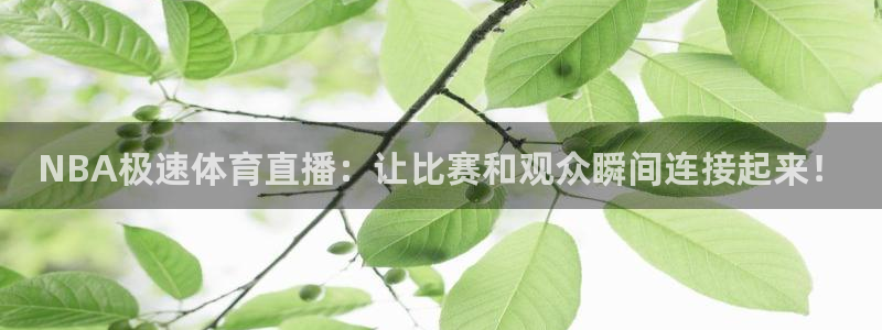 火凤直播nba：NBA极速体育直播：让比赛和观众瞬间连接起来！