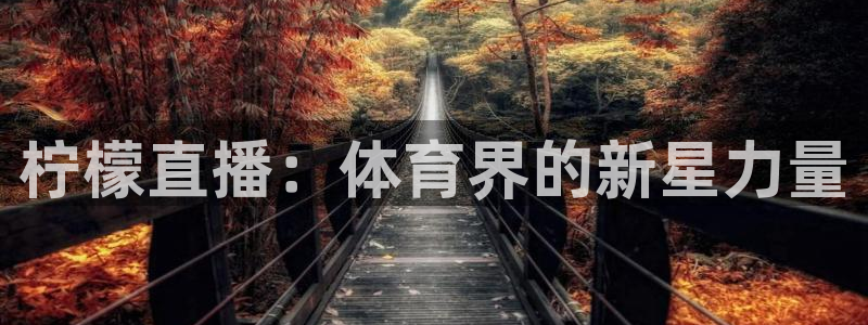 火凤足球直播免费观看全部：柠檬直播：体育界的新星力量