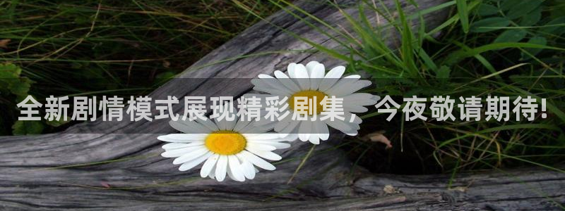 火凤足球直播在线观看：全新剧情模式展现精彩剧集，今夜敬请期待!