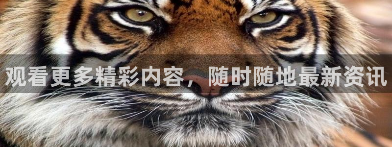 火凤直播足球：观看更多精彩内容，随时随地最新资讯